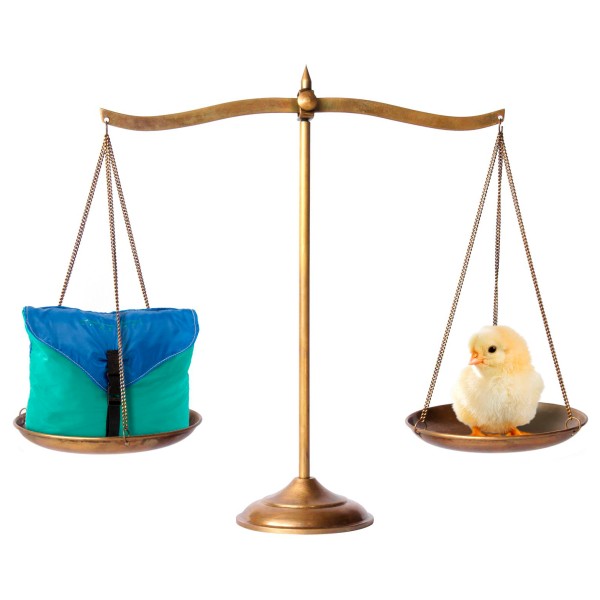 Amazonas - Hängematte Adventure - Hängematte