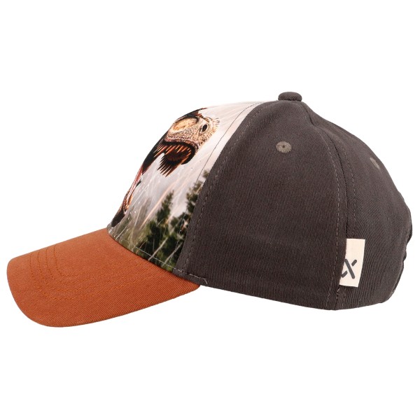 maximo - Boy's Cap - T-Rex, Hook-and-Loop Closure - Gorra