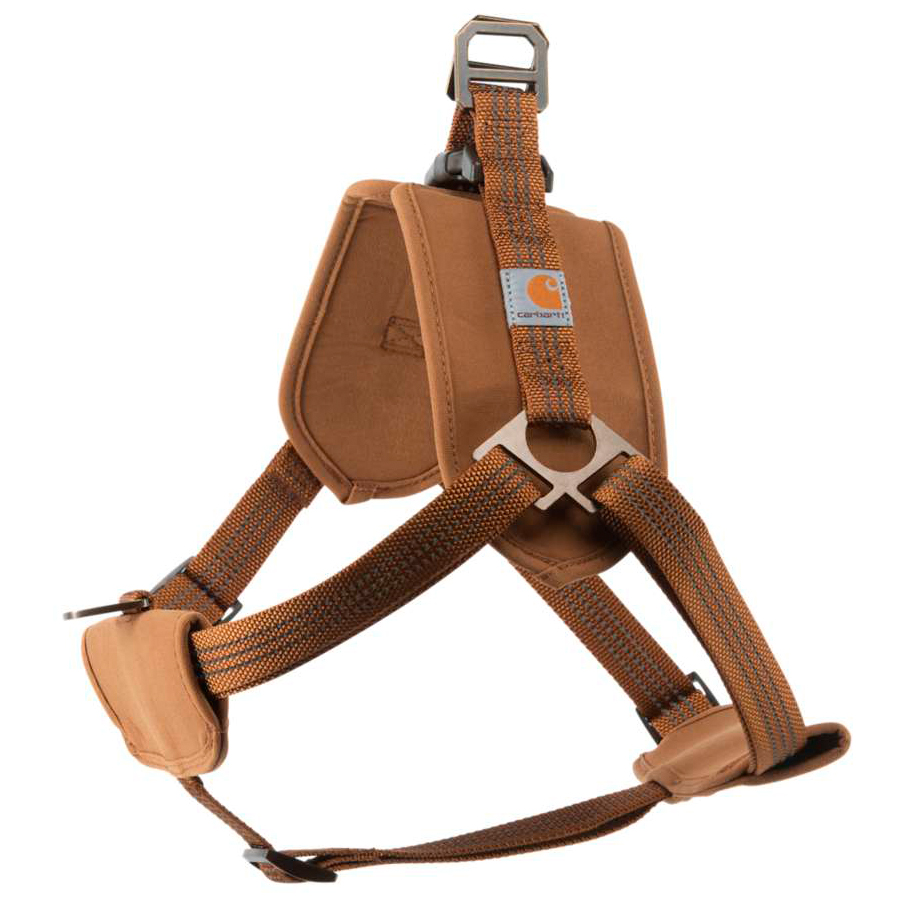 Training harness