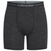 Icebreaker - Anatomica Long Boxers - Merinowollen ondergoed 