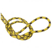 Tendon - Master 9,7 mm Complete Shield - Cuerda simple 