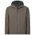 Deer Brown