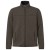 Deer Brown