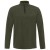 Farbe Kale Green