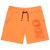 Imagen detallada 1 Picture - Basement Shorts - Pantalones cortos