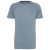 Pale Blue Grey