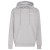 Detailbeeld 1 adidas Terrex - MT S Logo Hood - Hoodie