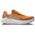 Kleur Apricot / Chestnut