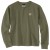 Detailbild 1 Carhartt - Women's Tencel Fiber Series Crewneck Sweatshirt - Pullover