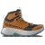 Chestnut / Black