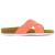 Colour Coral