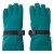 Kleur Dark Teal