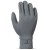 Color Iron Gate