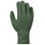 Kombu Green