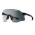 Photochromic Clear To Gray / Black