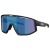 Kleur Matte Black / Smoke / Blue Multi
