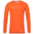 Kleur Autumn Larice