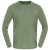 Deep Lichen Green