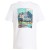 Detailbeeld 1 adidas Terrex - Nature Graphic Tee - T-shirt