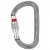 Detaljbild 1 Petzl - Am'D Screw-Lock - Skruvkarbiner