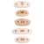 Ash, Beech, Oak, Maple