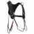 Detailbild 1 Black Diamond - IAD Double Gear Sling - Materialschlinge