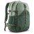 Farbe Cover Green