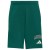 Color Collegiate Green