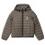 Light Brown