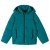 Dark Teal