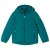 Dark Teal
