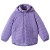 Misty Violet