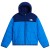 Active Blue / Bold Blue