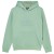 Iceberg Green
