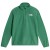 Dimmed Algae