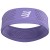 Aster Purple / White