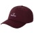 Detailbeeld 1 Brixton - Alpha NP LP Adj - Pet
