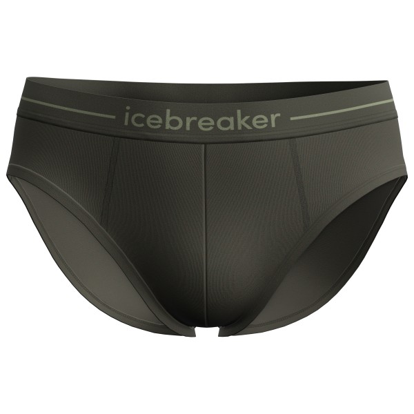 Icebreaker Anatomica Briefs Merinounterwäsche Men (Gr S |schwarz)