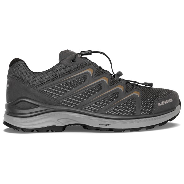 Lowa Meadow GTX Lo SL Multisportschuhe Herren (Gr 44 |grau |wasserdicht)