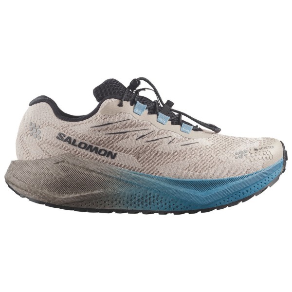 Salomon Aero Blaze 4 GRVL GTX Hardloopschoenen Oxford Tan / Niagara