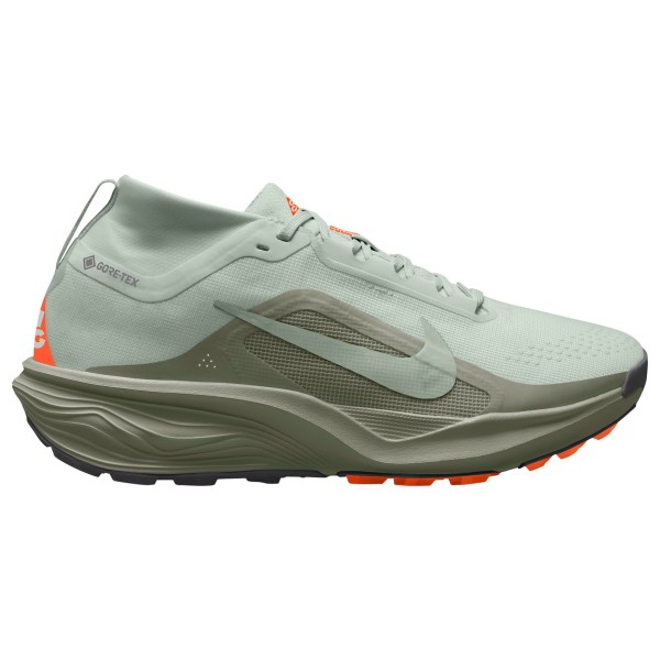Nike ACG Pegasus Trail GTX Trailrunningschoenen light arm Grijs