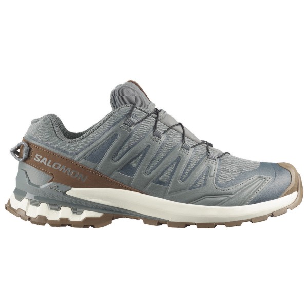 Freizeitschuhe Salomon XA Pro 3D V9 GORE-TEX Lifelong Herren (Gr 44 2/3 |grau |wasserdicht)