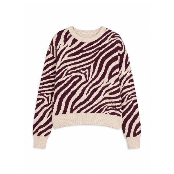 Mazine Women’s Zebra Jacquard Knit Jumper Trui meerkleurig Multicolor