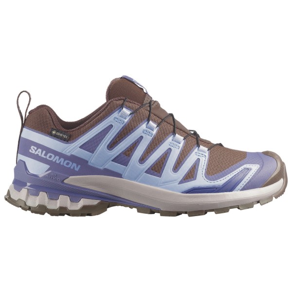 Trailrunningschuhe Salomon XA Pro 3D V9 GTX Damen (Gr 41 1/3 |grau |wasserdicht)