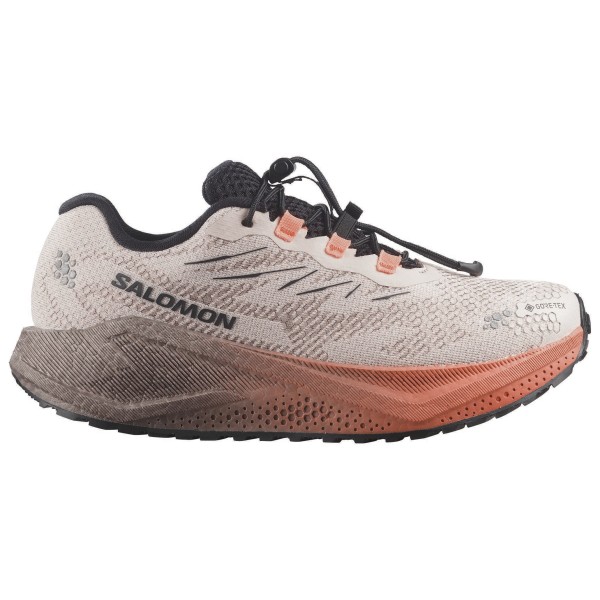 Salomon Women’s Aero Blaze 4 GRVL GTX Hardloopschoenen 2/3 Rainy Day / Nectarine