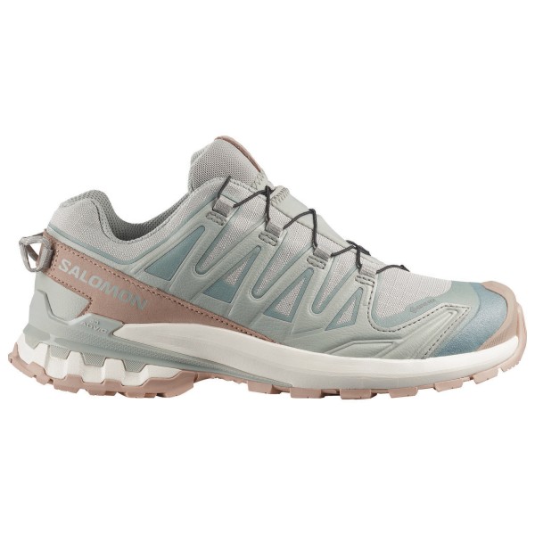 Salomon – Women’s XA Pro 3D V9 GORE-TEX Lifelong – Multisportschoenen maat 42, Grijs