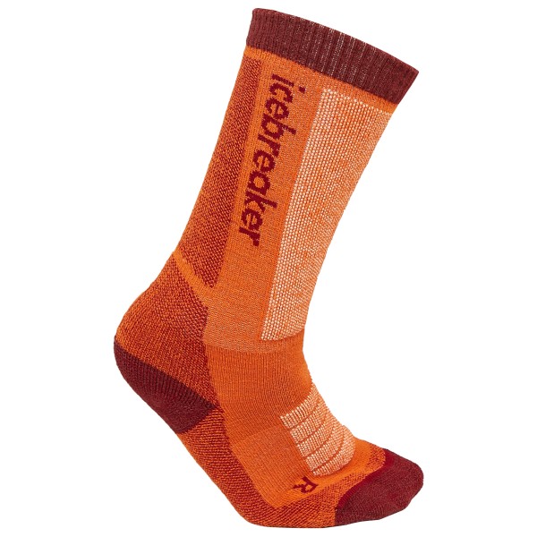 Image of Icebreaker - Kid"s Merino Ski+ Medium OTC - Skisocken Gr L rot'