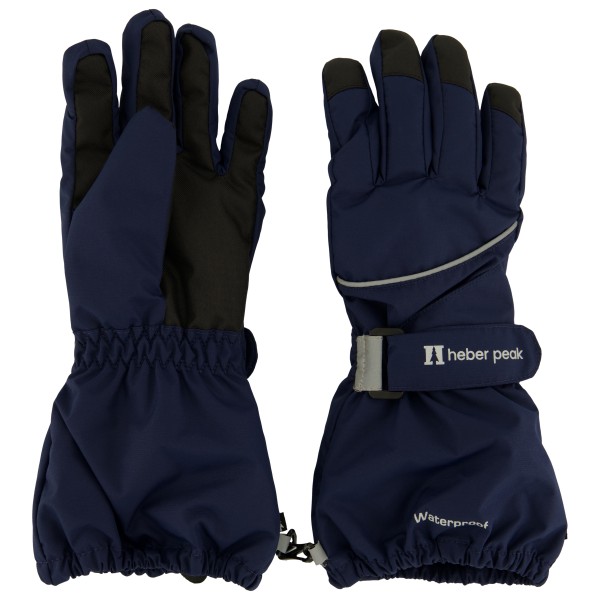 Heber Peak Kids PinusHe. Glove Handschoenen Years Blauw