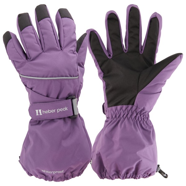 Heber Peak Kids PinusHe. Glove Handschoenen Years Purper