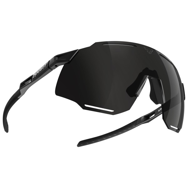 Image of Dynafit - Alpine Sunglasses - Laufbrille Gr One Size schwarz